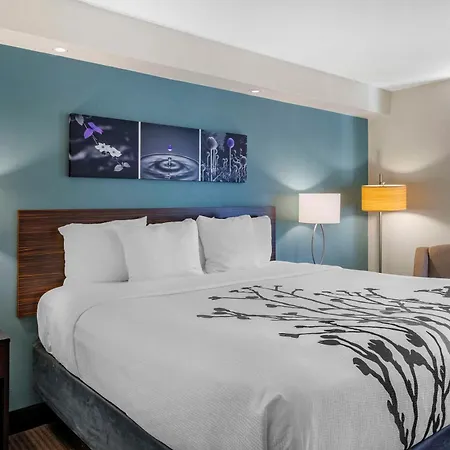 Sleep Inn Clearwater-St Petersburg-3